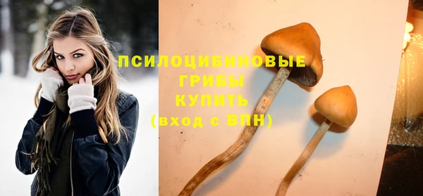 таблы Елизово