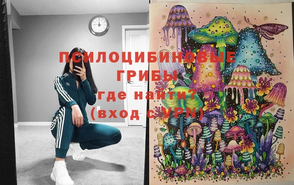 таблы Елизово